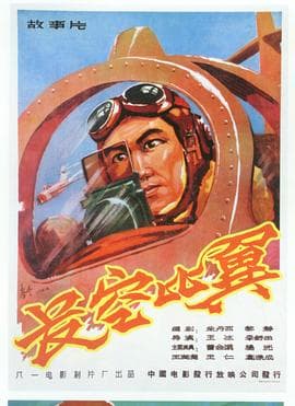 长空比翼海报